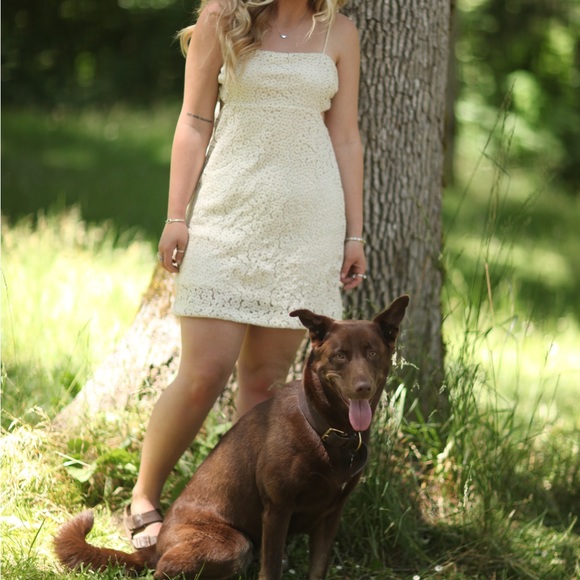 Sight to See Cream Floral Embroidered Cutout Mini Dress - Picture 9 of 9